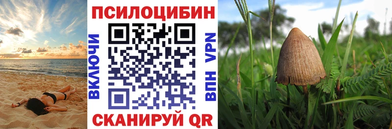 продажа наркотиков  Ясногорск  Псилоцибиновые грибы Psilocybe 